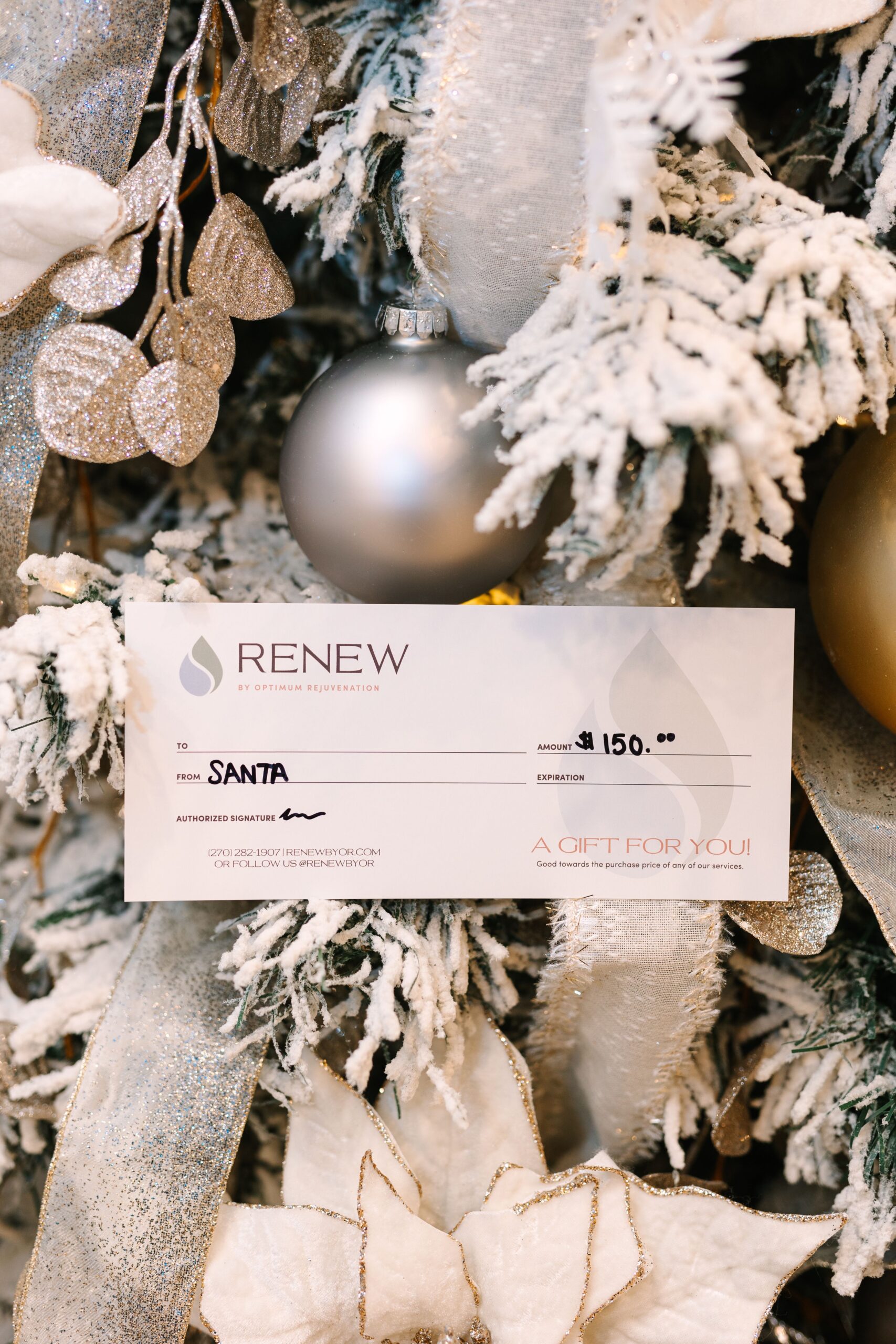 🎁 Give the Gift of Glow This December at Renew! 🎁